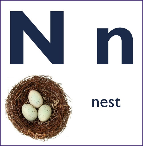 N