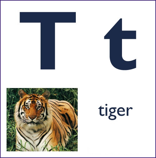 T