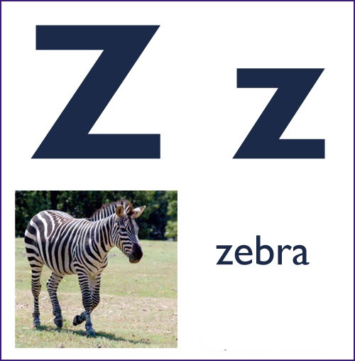 Z